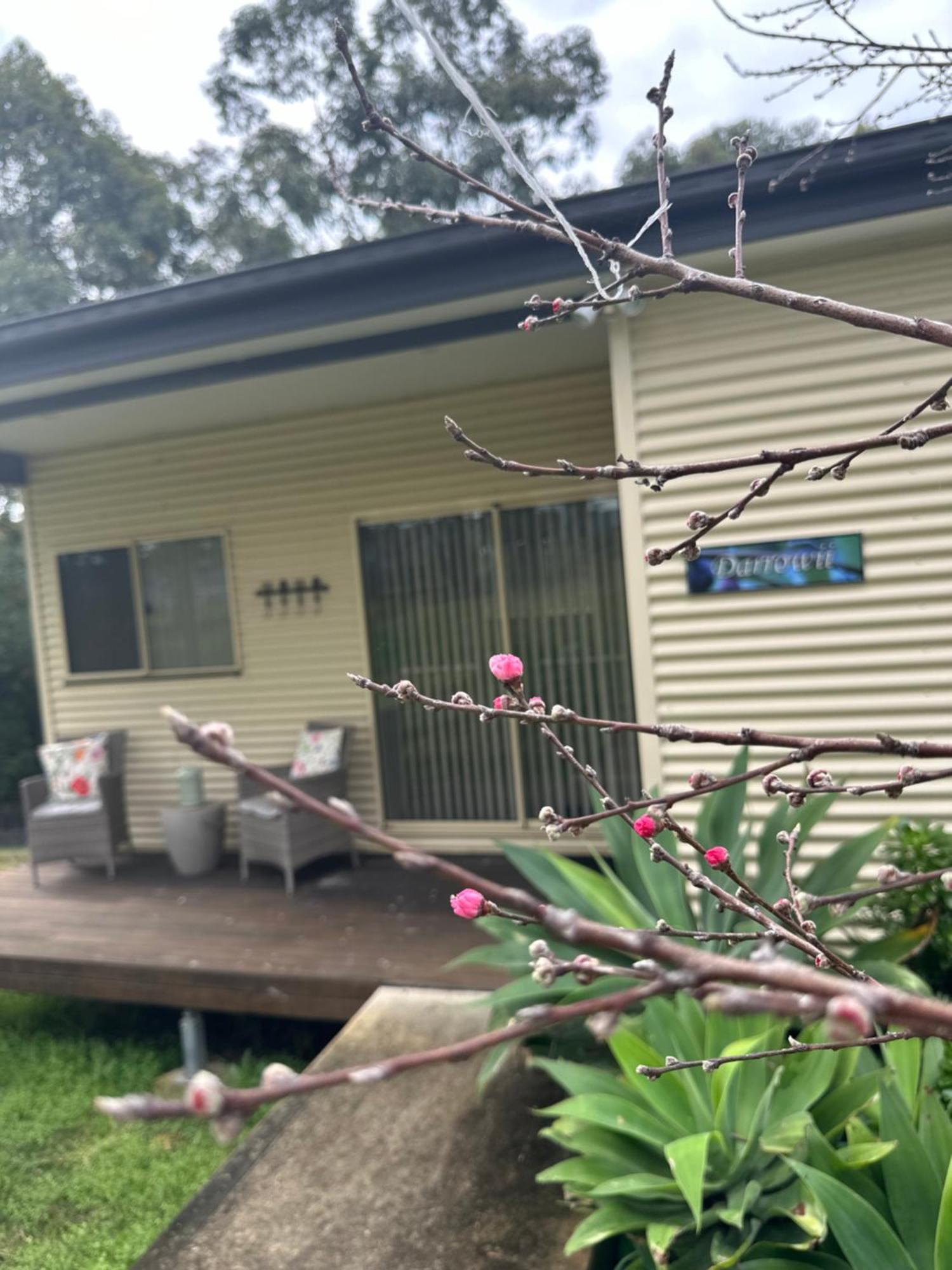 Blueberry Hills On Comleroy Farmstay - Self-Contained Cottages 쿠라종 외부 사진