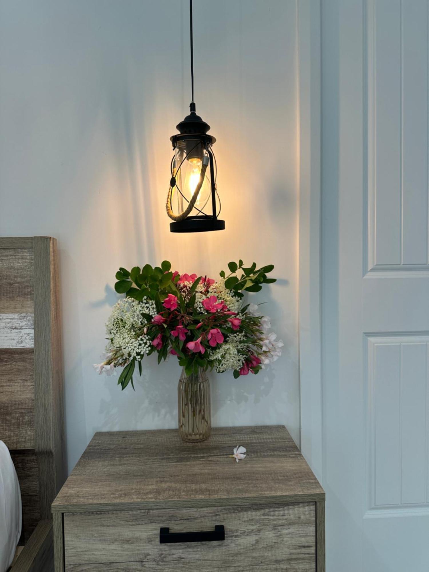 Blueberry Hills On Comleroy Farmstay - Self-Contained Cottages 쿠라종 외부 사진