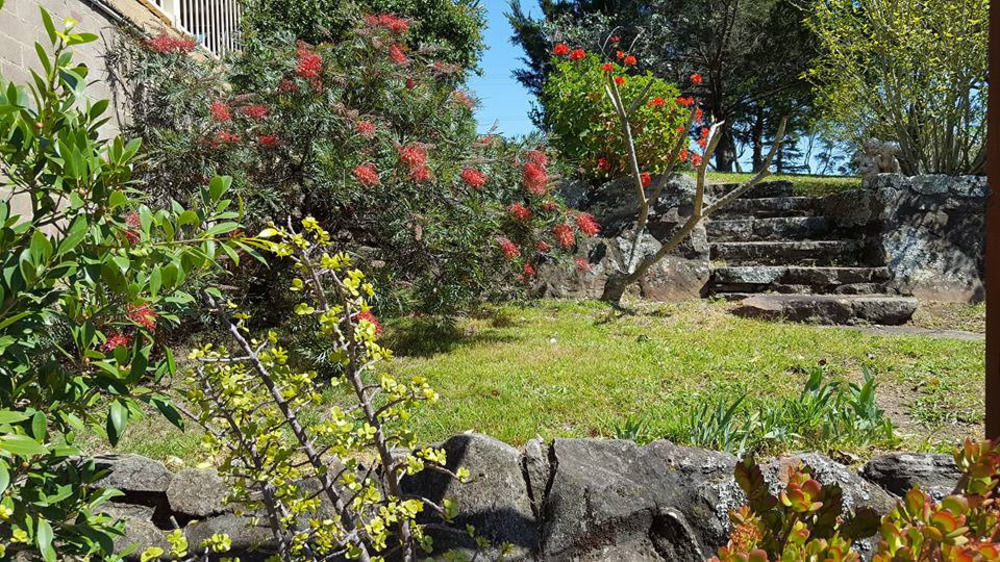 Blueberry Hills On Comleroy Farmstay - Self-Contained Cottages 쿠라종 외부 사진