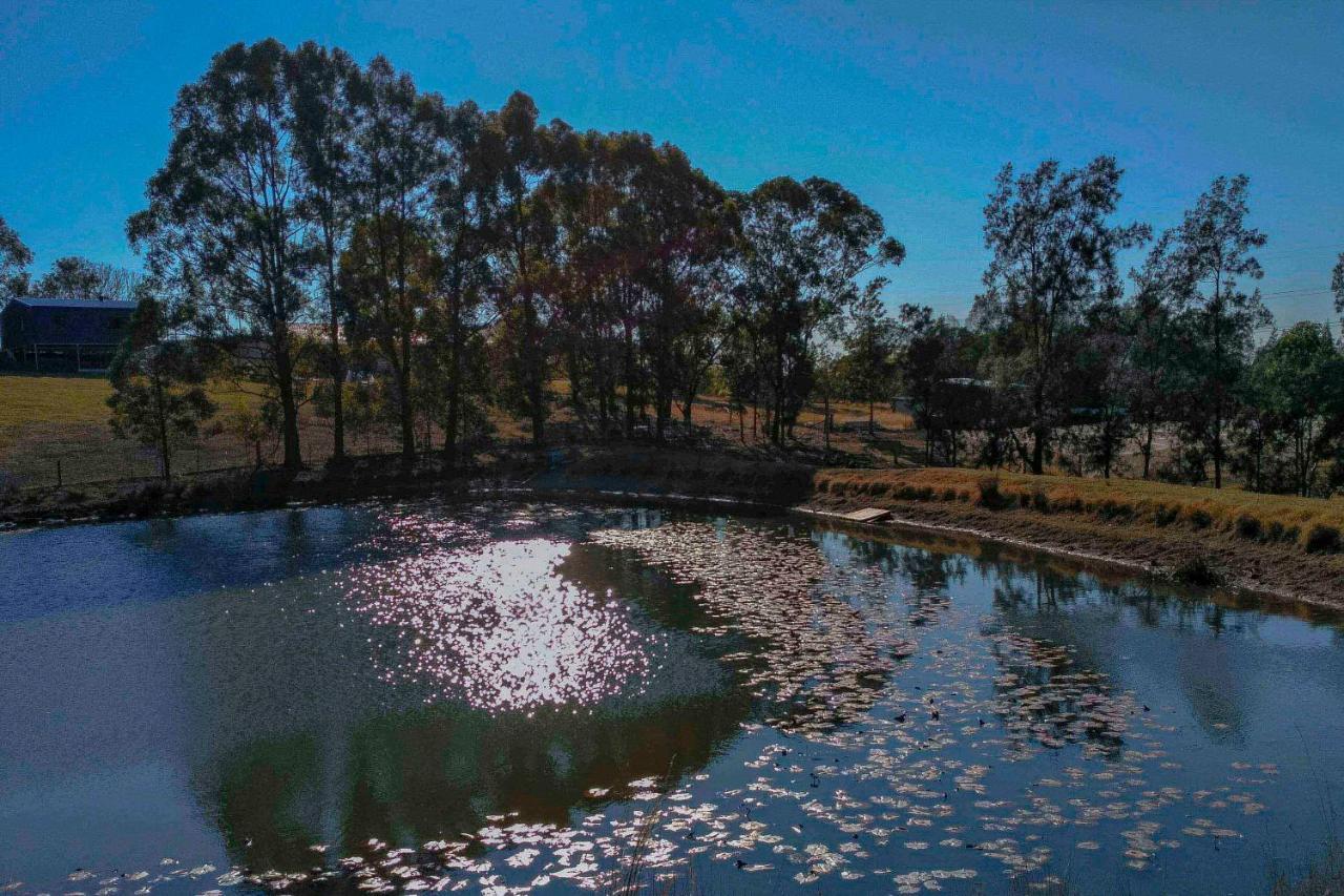 Blueberry Hills On Comleroy Farmstay - Self-Contained Cottages 쿠라종 외부 사진
